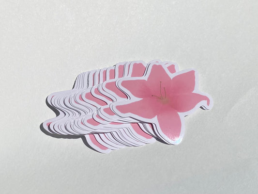 Pink Lilly sticker